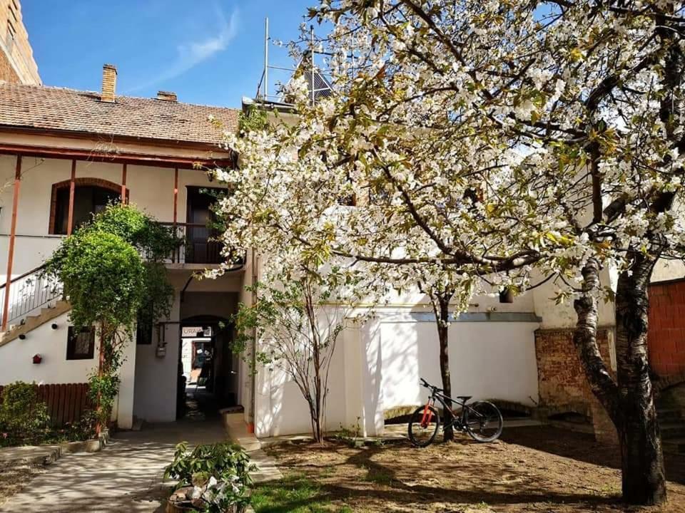 شقة Casa Miron 1 تيميشورا المظهر الخارجي الصورة
